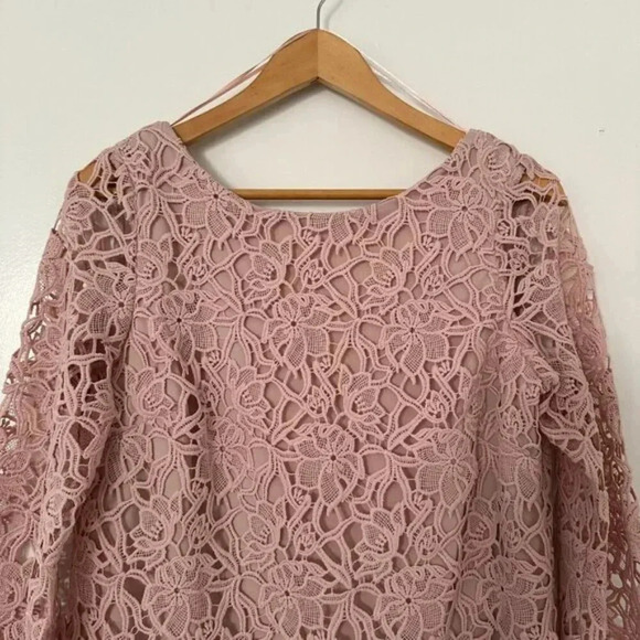 NWT 424 Fifth Lord & Taylor Knee-Length A-Line Lace Shift Dress Blush Nude Sz 8 - Picture 7 of 12